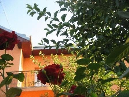 Lary Hostel Sučava Exteriér fotografie