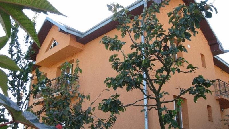Lary Hostel Sučava Exteriér fotografie