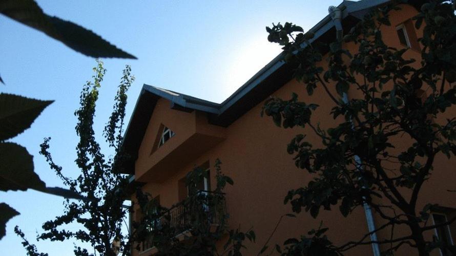 Lary Hostel Sučava Exteriér fotografie