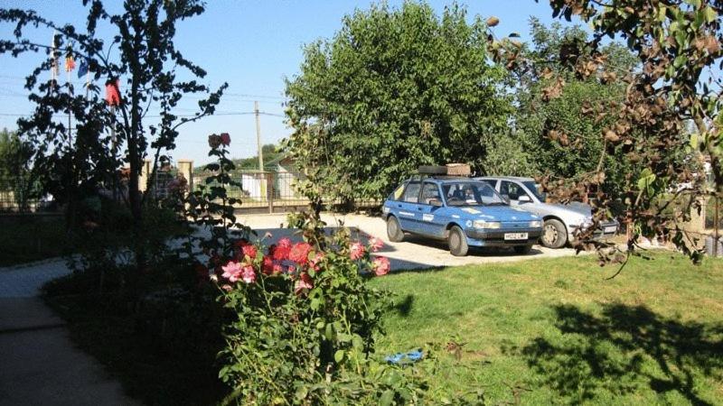 Lary Hostel Sučava Exteriér fotografie